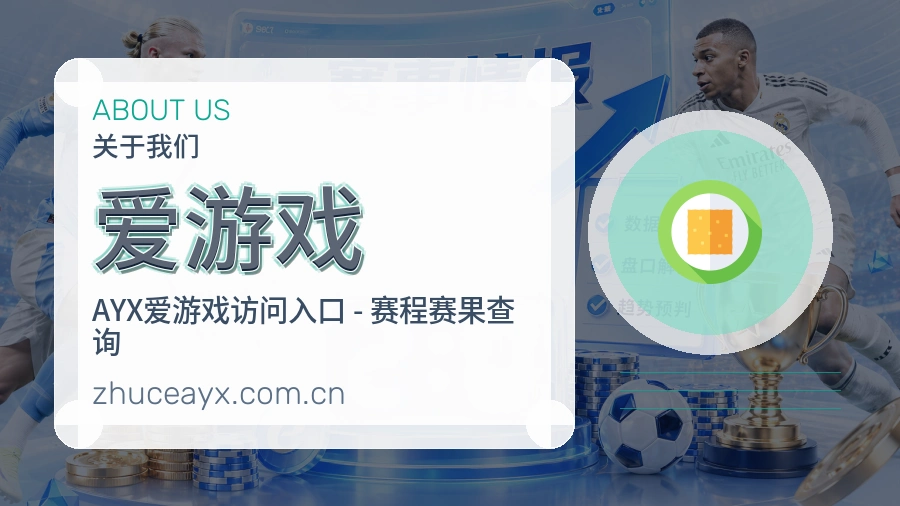 爱游戏关于我们